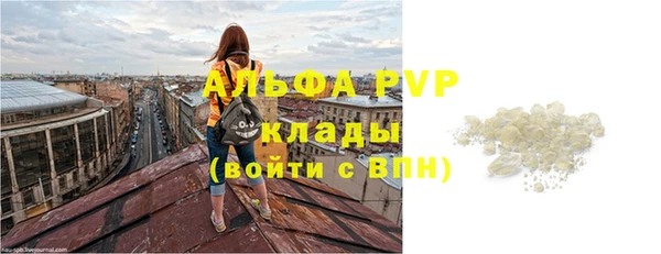 шишки Абаза