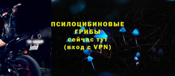 шишки Абаза