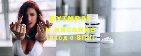 шишки Абаза