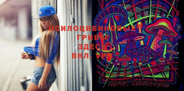 MESCALINE Аркадак