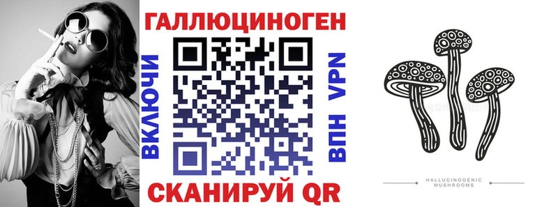 Псилоцибиновые грибы Cubensis Юхнов